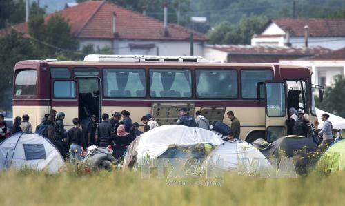 La police grecque a évacué plus de 2000 migrants d'Idomeni - ảnh 1